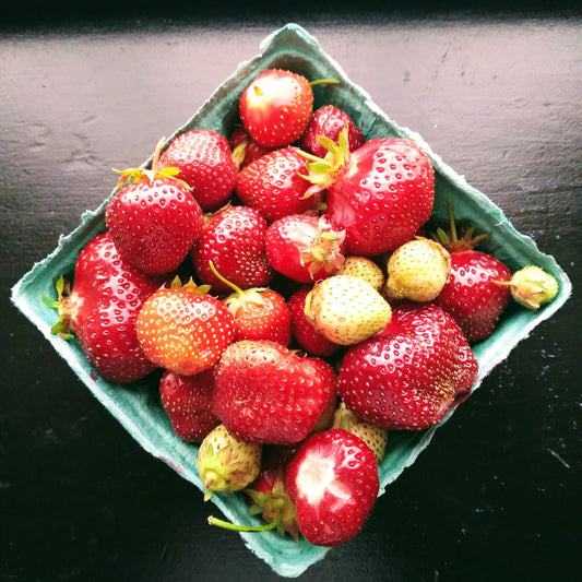 It's Strawberry Season!